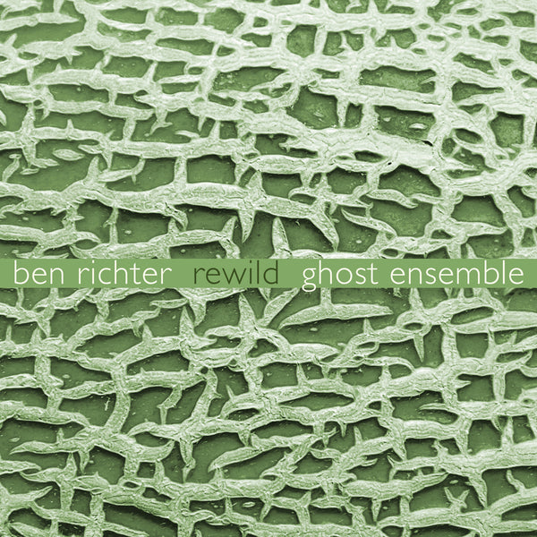 Ben Richter: Rewild – New World Records