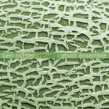 Album cover art featuring a close-up texture shot with green and white tones, labeled with the artist name 'BEN RICHTER' and the title 'REWILD GHOST ENSEMBLE'.