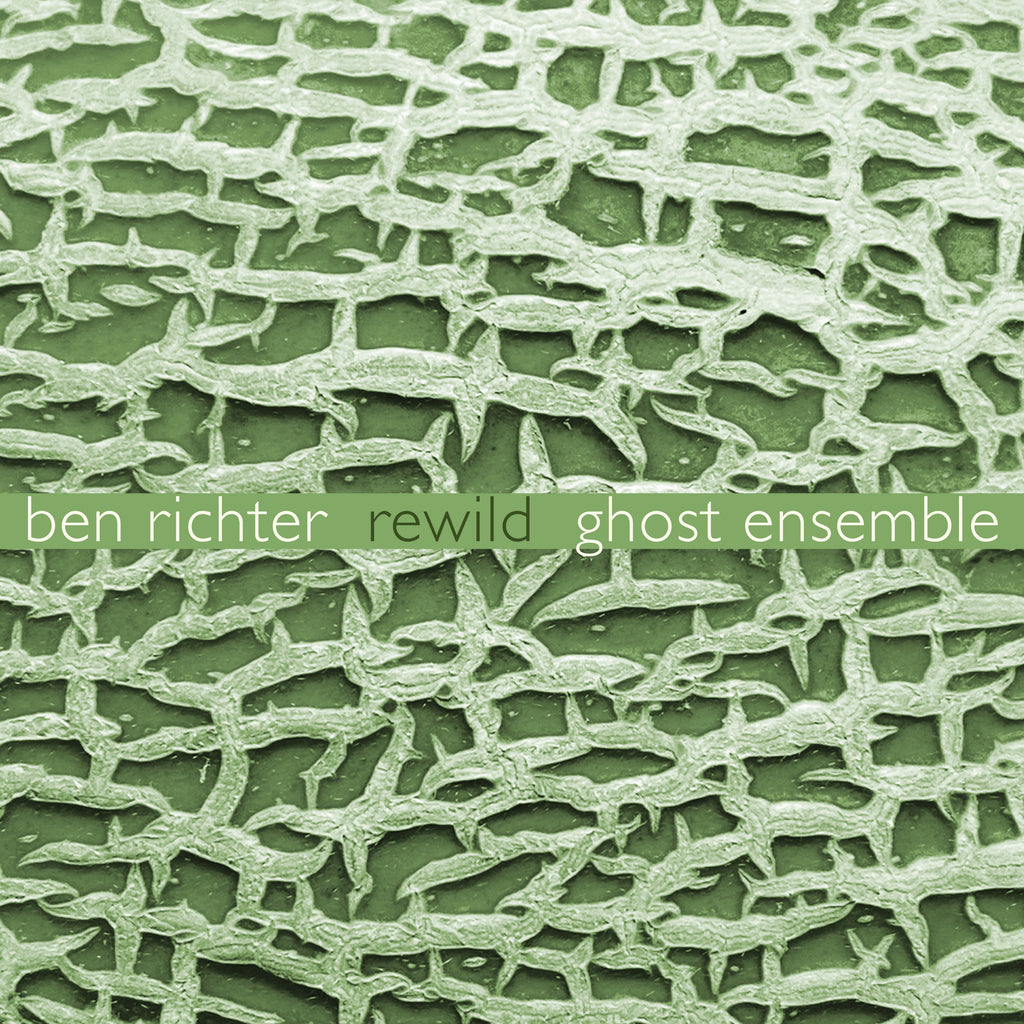 Ben Richter: Rewild – New World Records