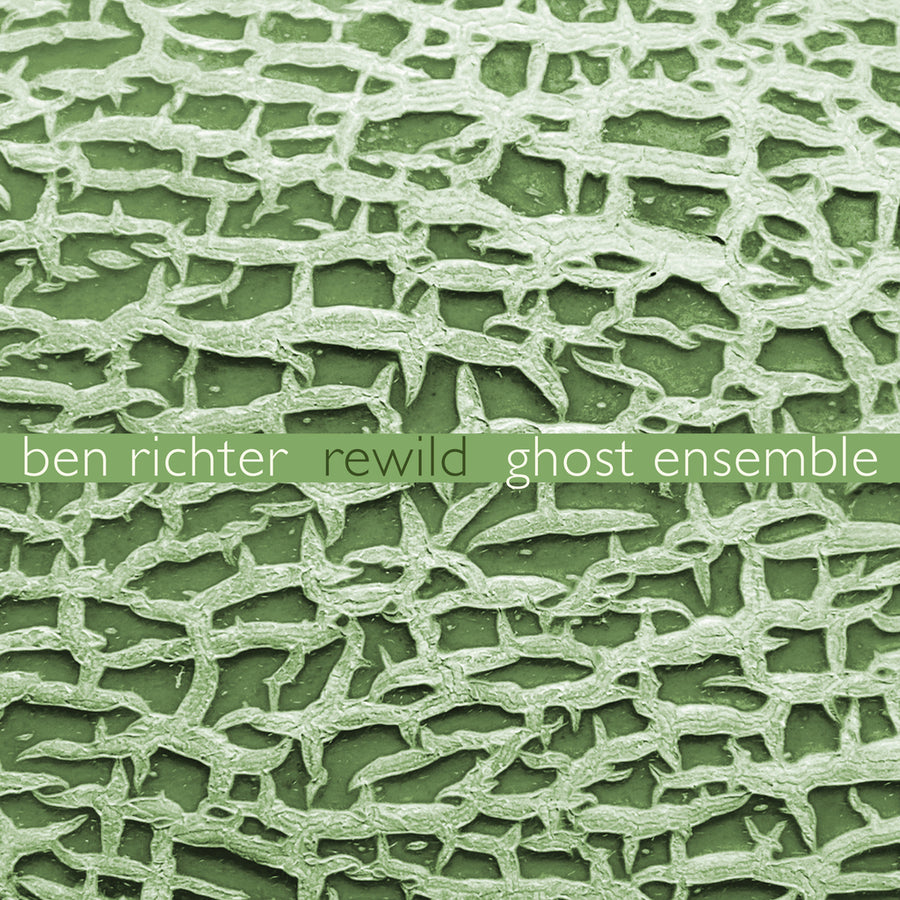 Album cover art featuring a close-up texture shot with green and white tones, labeled with the artist name 'BEN RICHTER' and the title 'REWILD GHOST ENSEMBLE'.