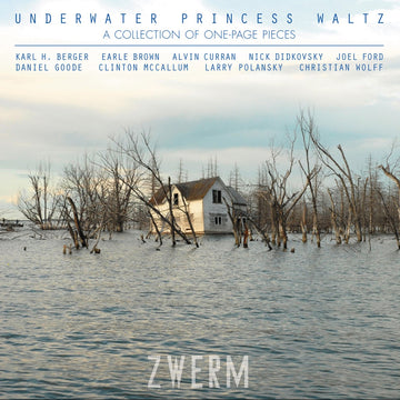 Album cover featuring a house amidst flooded trees, with a title 'Underwater Princess Waltz' and the band name 'ZWERM'.