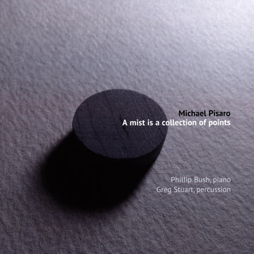 Cover art for the album 'A mist is a collection of points' by Michael Pisaro, featuring a dark, minimalist design with the artist and album name displayed.