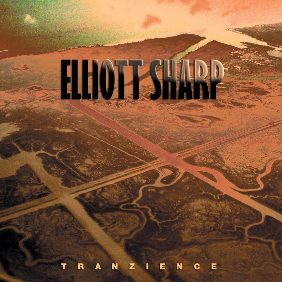 Album cover art featuring an image of an airport runway with the text 'elliott sharp' and 'Tranzience' below it, indicating the artist and album title.