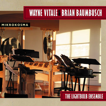 Cover of the album 'Mikrokosma' by Wayne Vitale & Brian Baumbusch featuring members of The Lightbulb Ensemble with traditional musical instruments.
