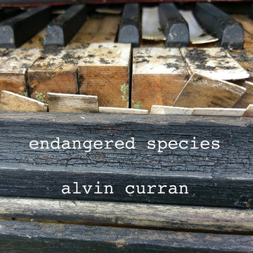 CD cover featuring a piano with a rustic, wooden backdrop. The title 'endangered species' and the artist name 'alvin curran' are displayed.