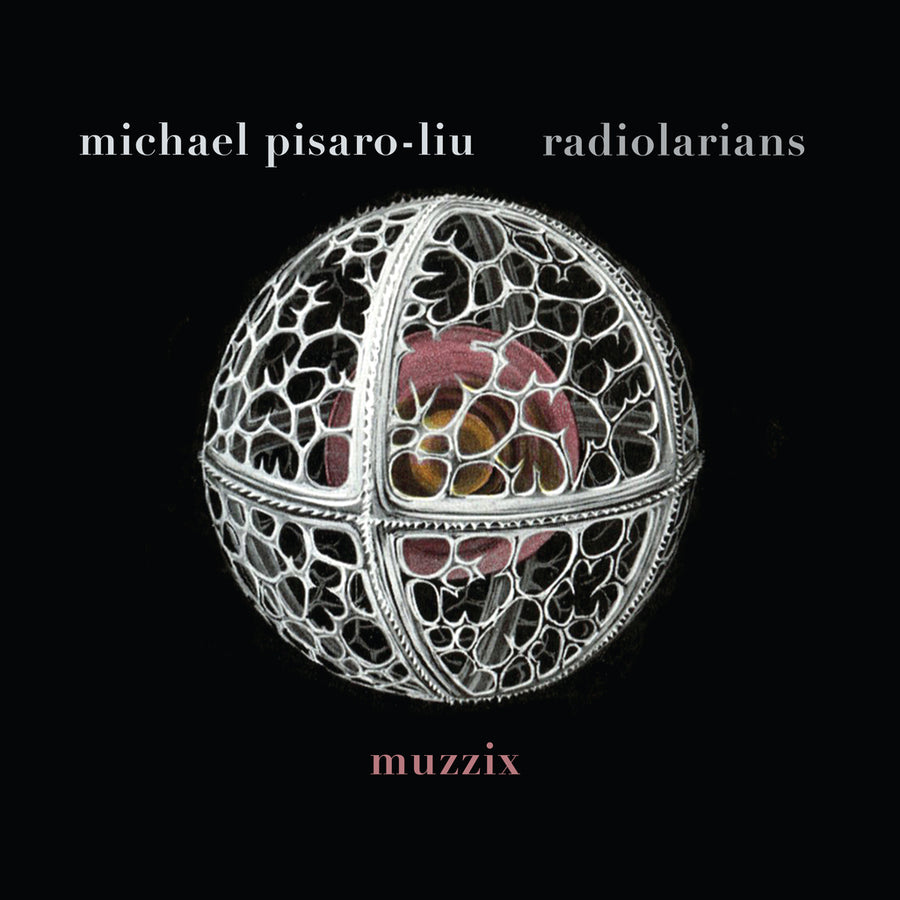 Cover art for album entitled Radiolarians by Michael Pisaro-Liu.