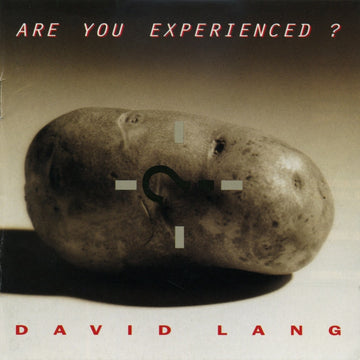 David Lang: Are You Experienced?