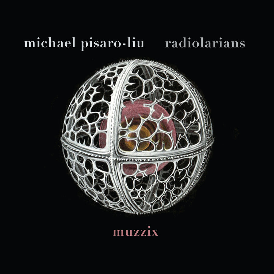 Michael Pisaro-Liu: Radiolarians