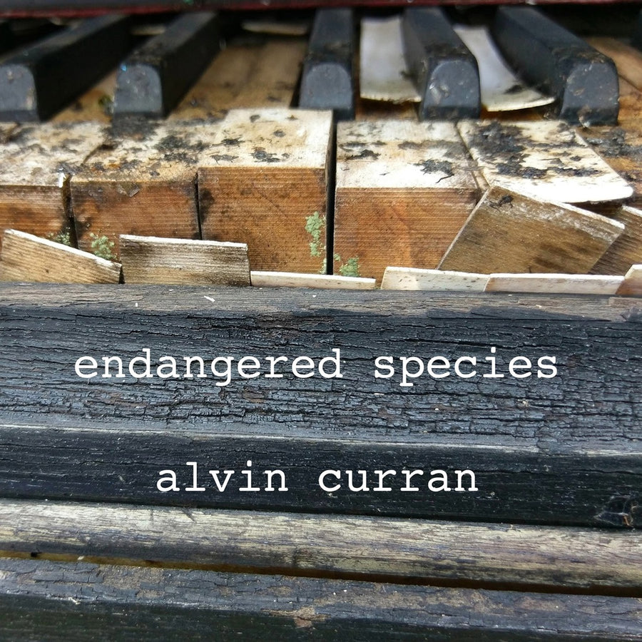 Alvin Curran: Endangered Species
